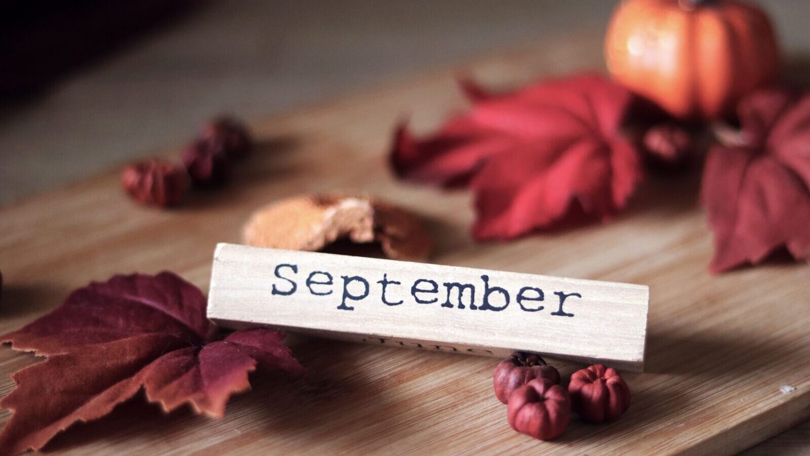 Rustic autumn decor featuring September sign, vibrant leaves, and mini pumpkins.